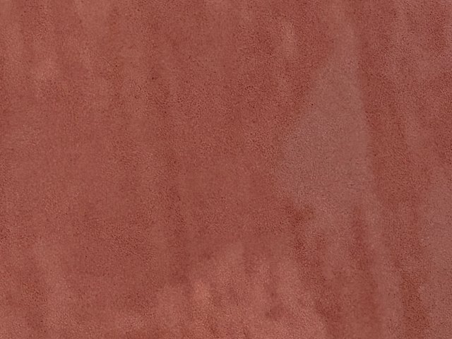IMG_4565.jpeg