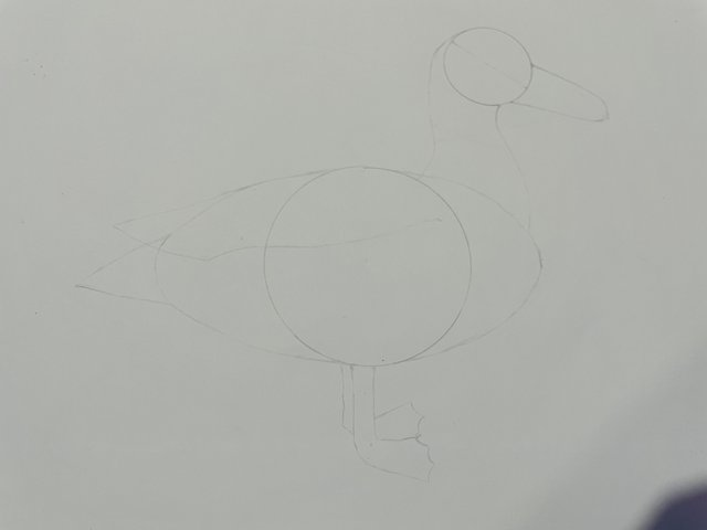 IMG_1734.jpeg