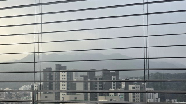1000128790.jpg