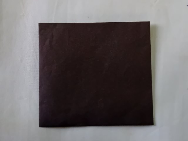 1000052050.jpg