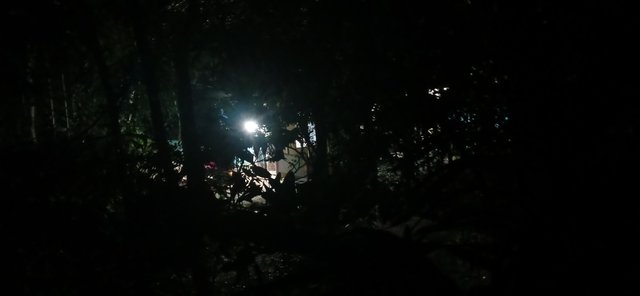 20250516_202319.jpg