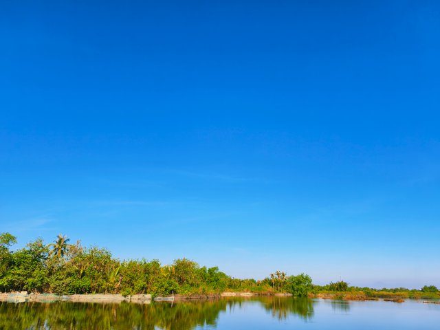 IMG_20250418_141719.jpg