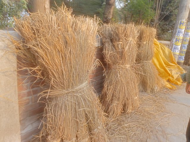 IMG20250307165725.jpg