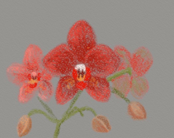 Орхидеи_1.jpg