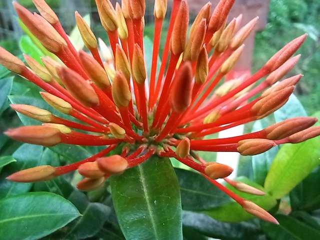 20250619_120746.jpg