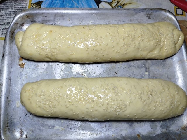 1000419611.jpg