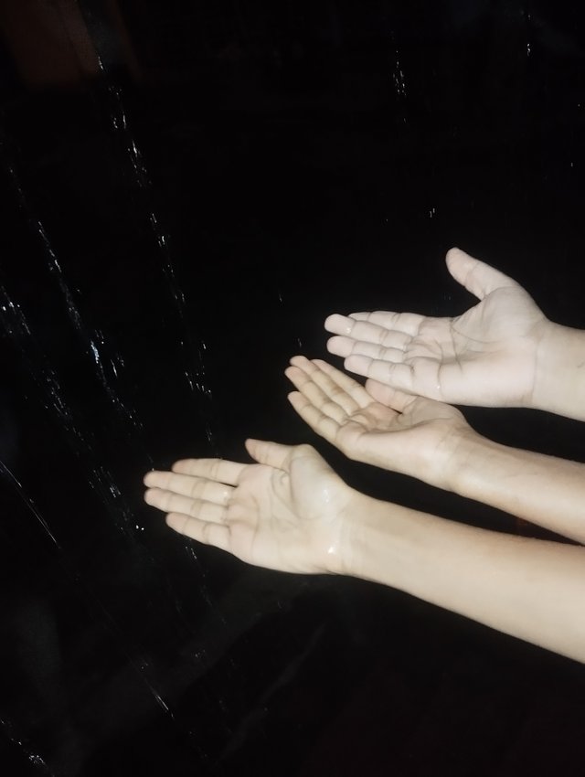 1000028372.jpg