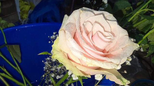 20250421_110716.jpg