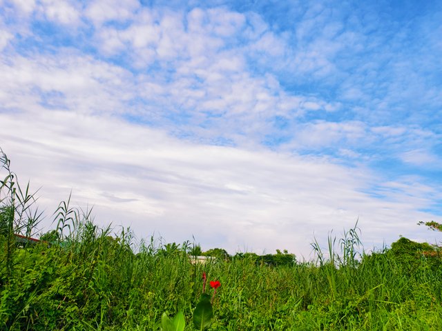 IMG_20250815_081035_1.jpg