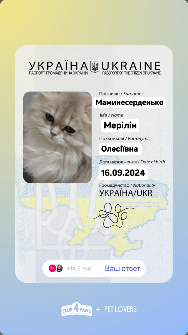 1000001497.webp