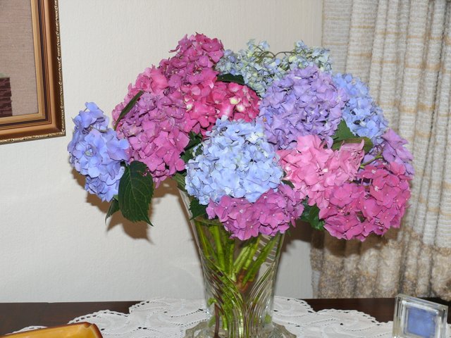 Vase of Hydrangeas.jpg