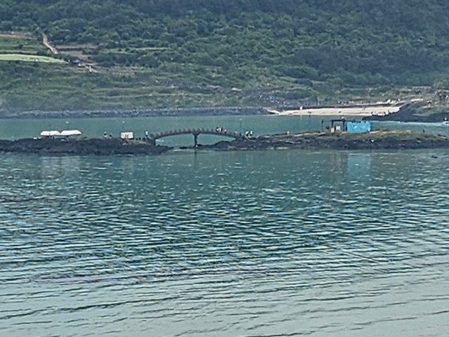 20250607_100951.jpg