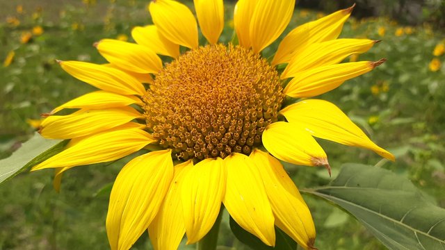 20210310_121223.jpg
