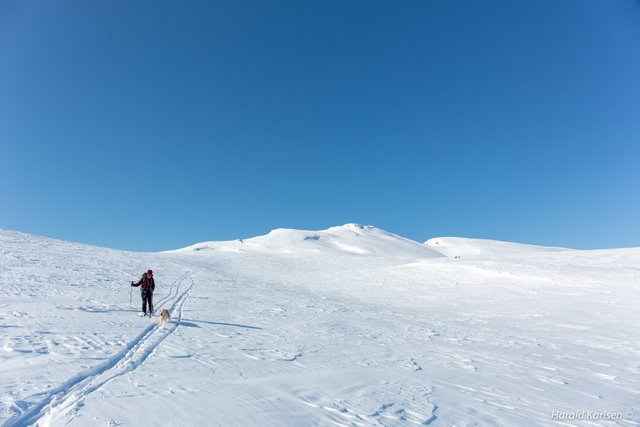 Kopparfjellet-9.jpg