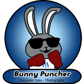 logo bonny puncher.jpg