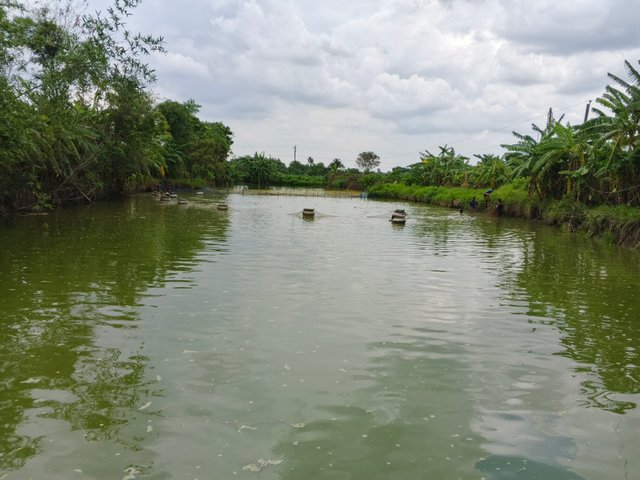 IMG_20250524_134406_340.jpg