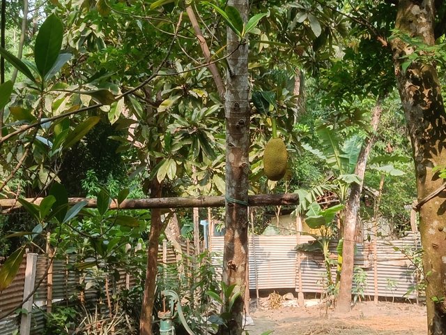 IMG20250425150301.jpg