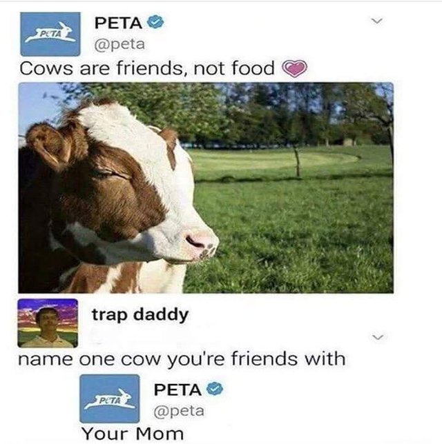 cow friend.jpg