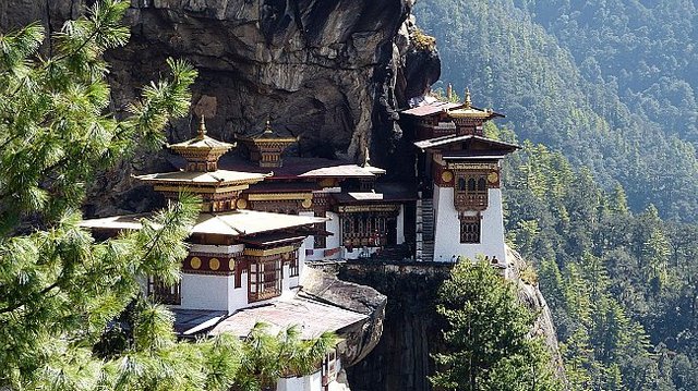 tiger-nest-large (1).jpg