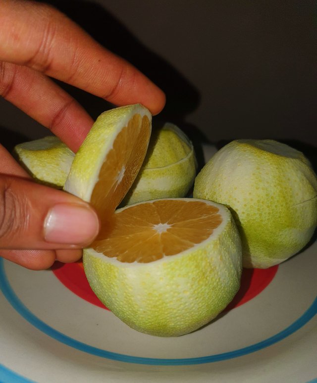 20250619_211753.jpg
