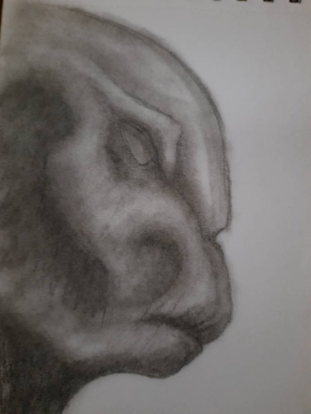 20250927_104331.jpg