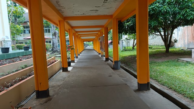 1000065317.jpg