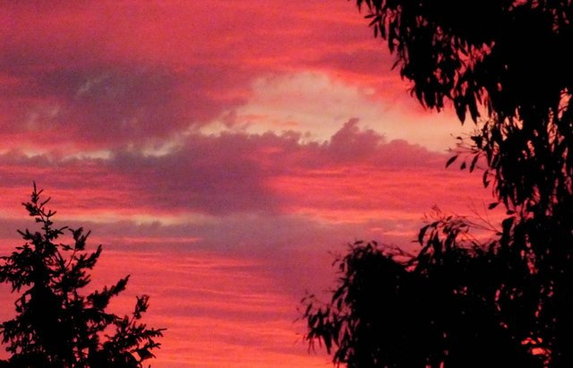 0211-Sunset04.jpg