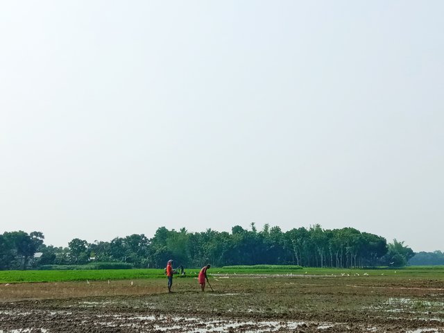 IMG_20250809_162938.jpg