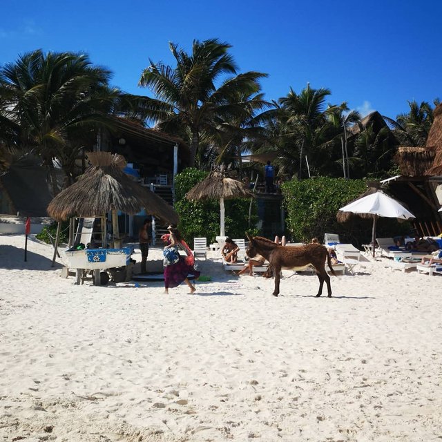 Tulum Beach 4.jpg