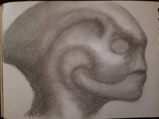 20250425_105041.jpg