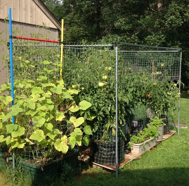 pasted image 0 (2).png