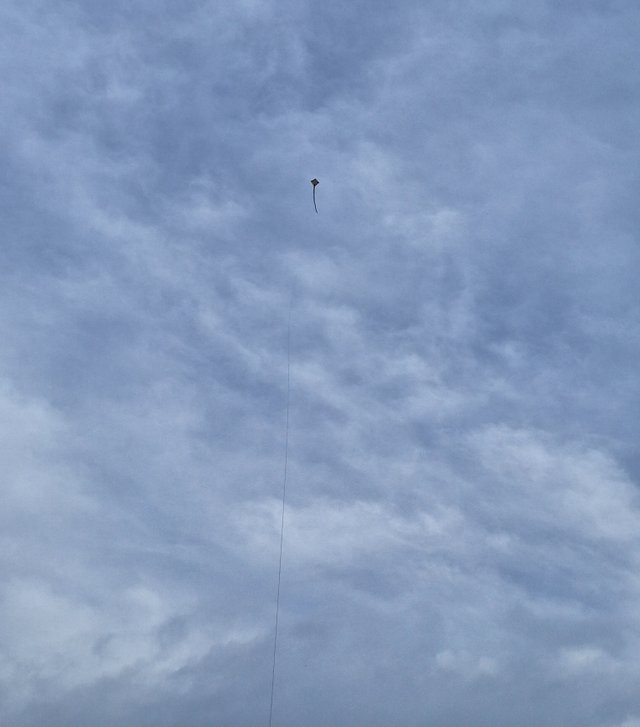 1001046871.jpg