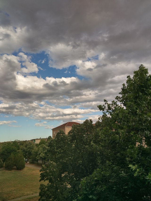 IMG_20250710_184732_HDR.jpg