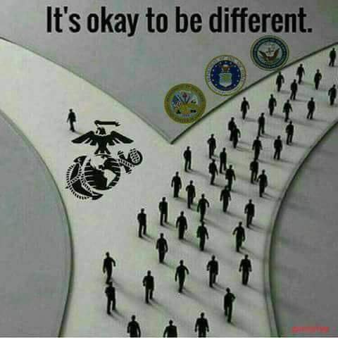 A0C3DABE-E68C-424F-B213-1EBDAB60A93E.jpeg