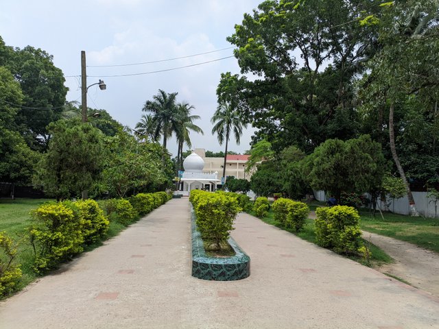 1000035174.jpg