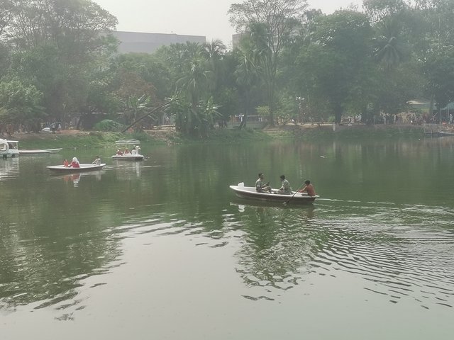 IMG_20250414_091524.jpg