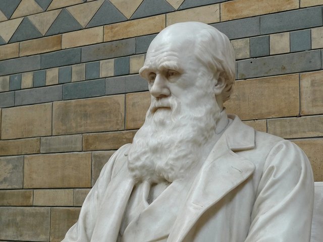 darwin-623194_1280.jpg