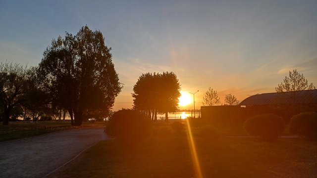 20250501_054909.jpg
