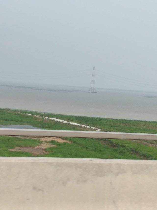20250603_154448.jpg