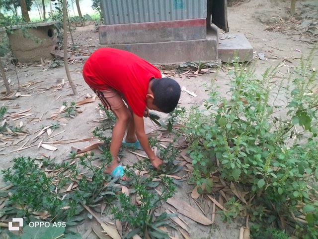 IMG20250321175647.jpg