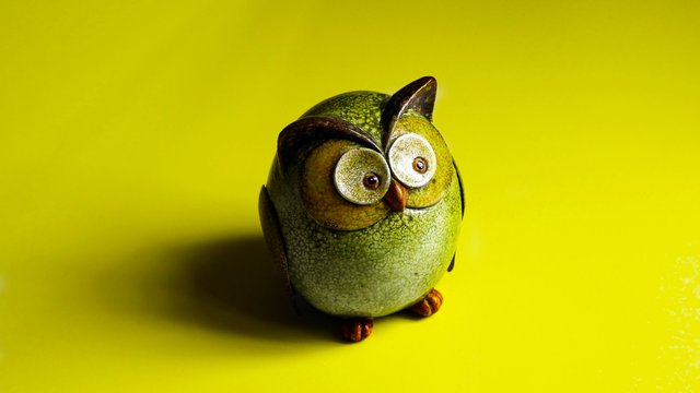 Owl_Photoshopped.jpg