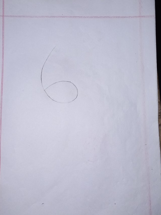 20250624_114938.jpg