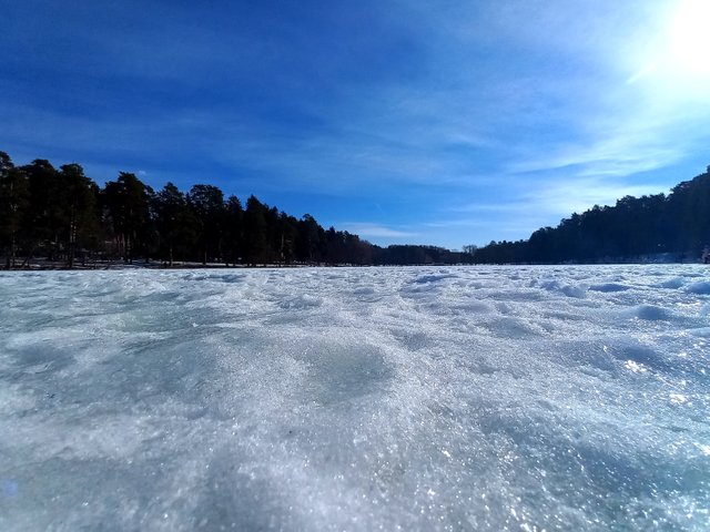 20220306_114422.jpg