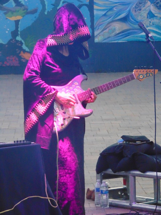 BS electronic guitar.jpg