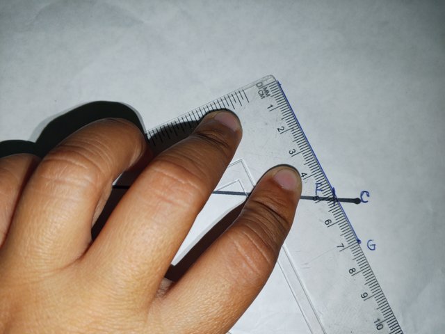 1000079213.jpg
