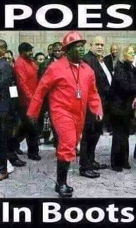 Malema Poes in Boots1.jpg