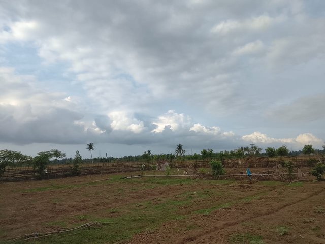1000186460.jpg