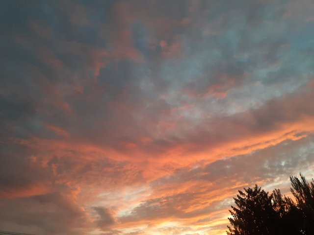 20250818_195725.jpg