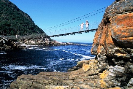 suspension_bridge52.jpg