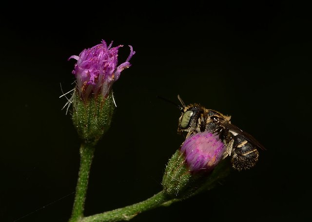 DSC_6469.jpg